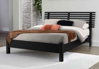 Danziar Black Queen Slat Bed